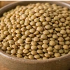 bio_planet_soczewica_zielona_500g_makro_1024_klikdelikatesy (2).webp